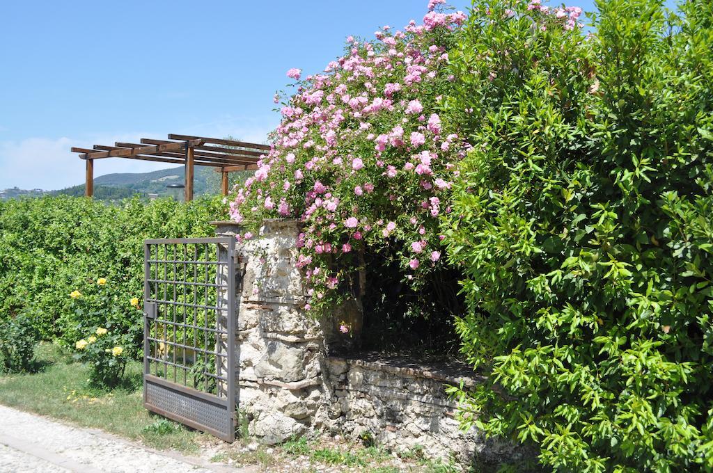 Il Gelso Nero Villa Castelnuovo di Farfa Ngoại thất bức ảnh