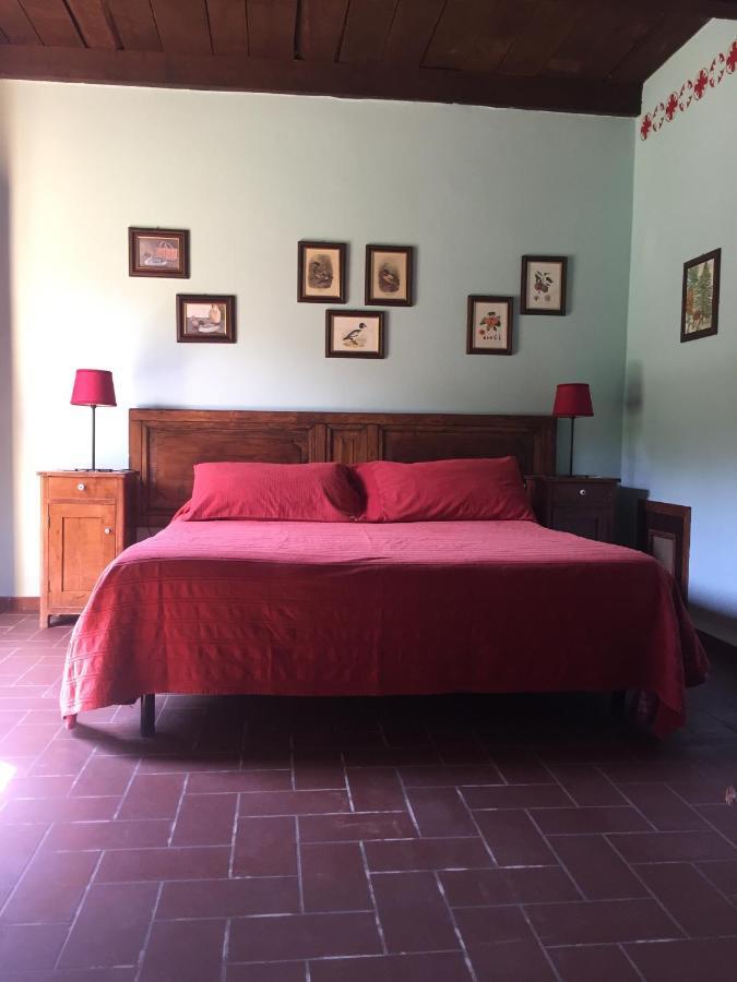 Il Gelso Nero Villa Castelnuovo di Farfa Ngoại thất bức ảnh